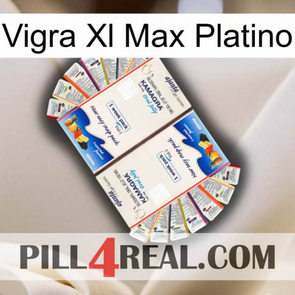 Vigra Xl Max Platinum kamagra1.jpg